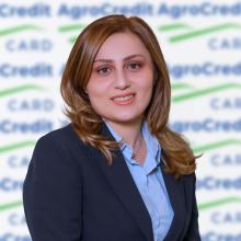 Ղեկավարներ