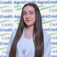 Մասնաճյուղեր