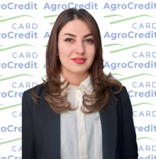 Մասնաճյուղեր