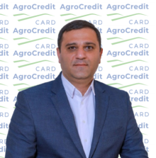 Մասնաճյուղեր
