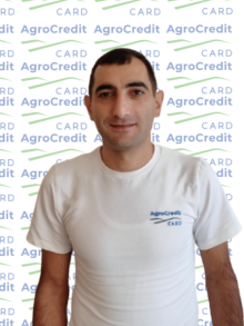 Մասնաճյուղեր
