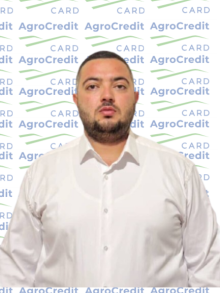 Մասնաճյուղեր Մասնաճյուղեր